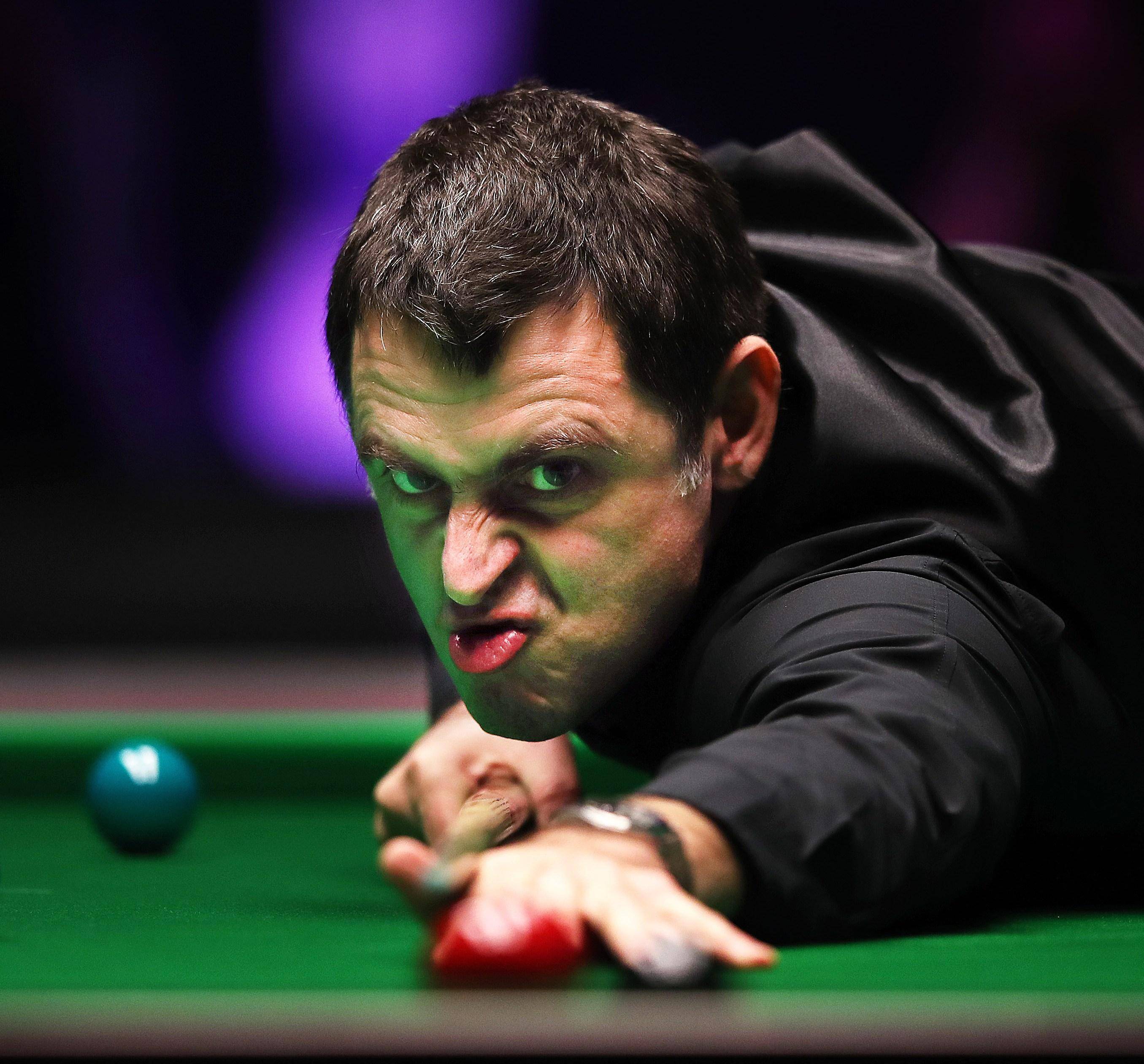 新的猜测 新的猜测